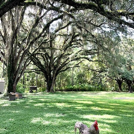 The Harmony Oaks Homestead Masaryktown Esterno foto