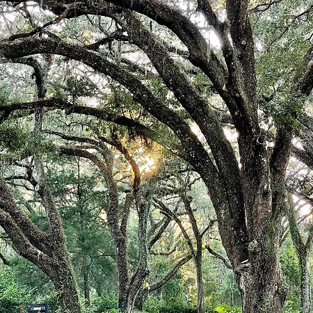 The Harmony Oaks Homestead Masaryktown Esterno foto