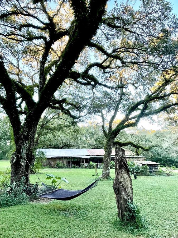The Harmony Oaks Homestead Masaryktown Esterno foto