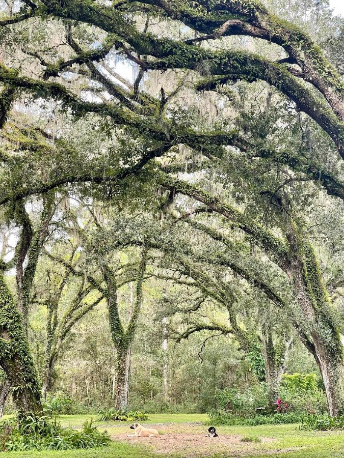 The Harmony Oaks Homestead Masaryktown Esterno foto