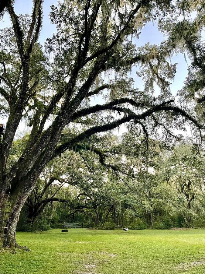 The Harmony Oaks Homestead Masaryktown Esterno foto