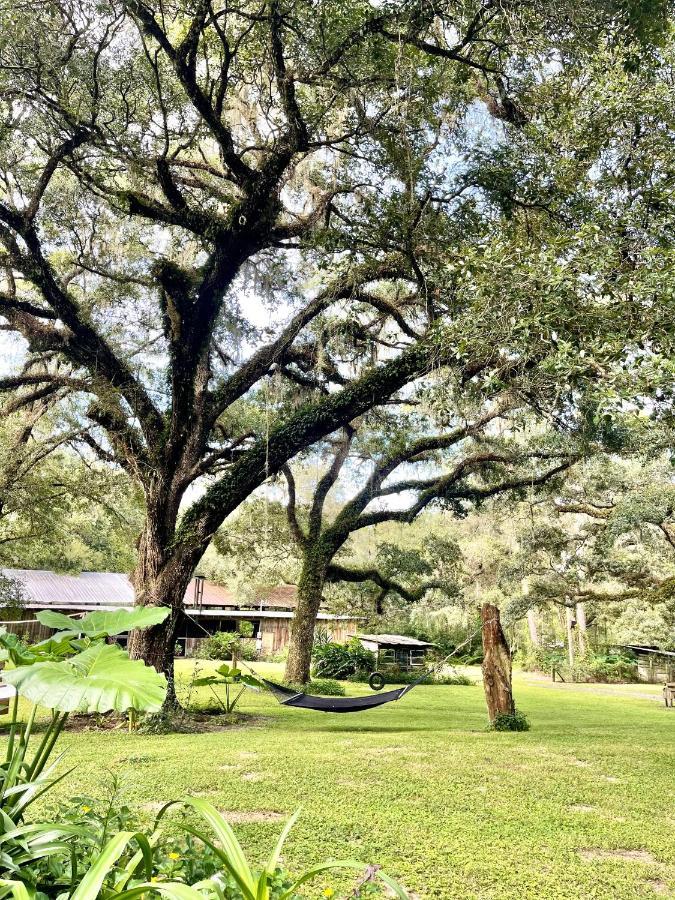 The Harmony Oaks Homestead Masaryktown Esterno foto