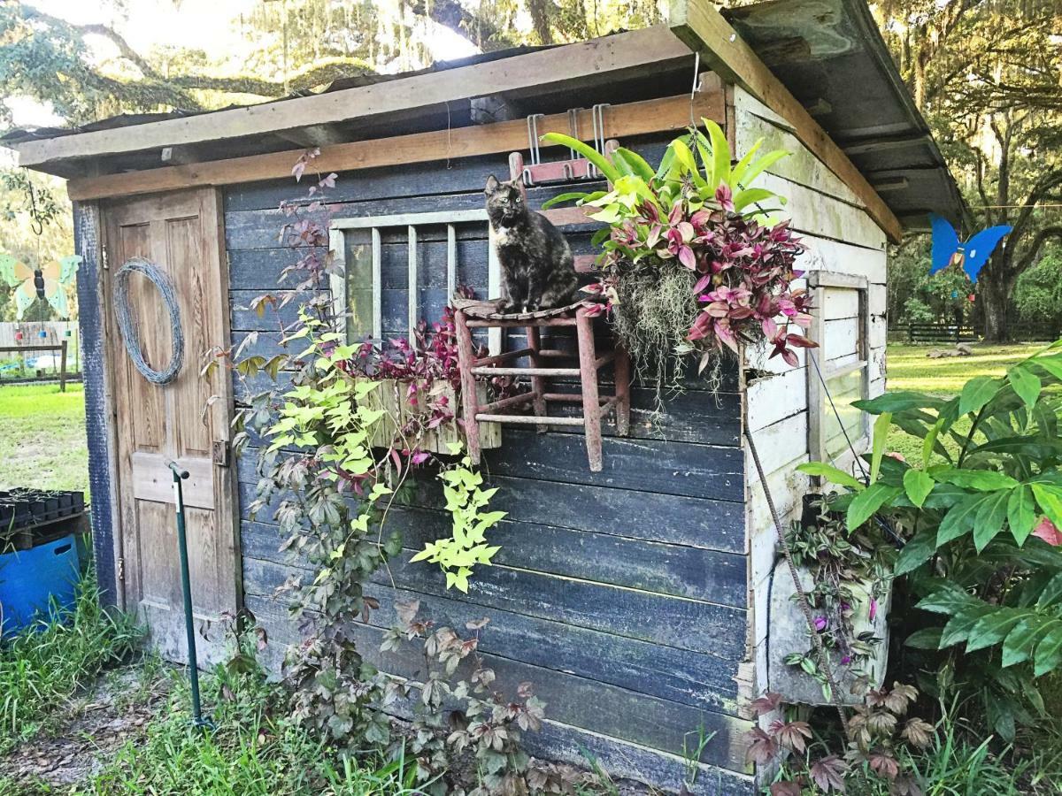 The Harmony Oaks Homestead Masaryktown Esterno foto