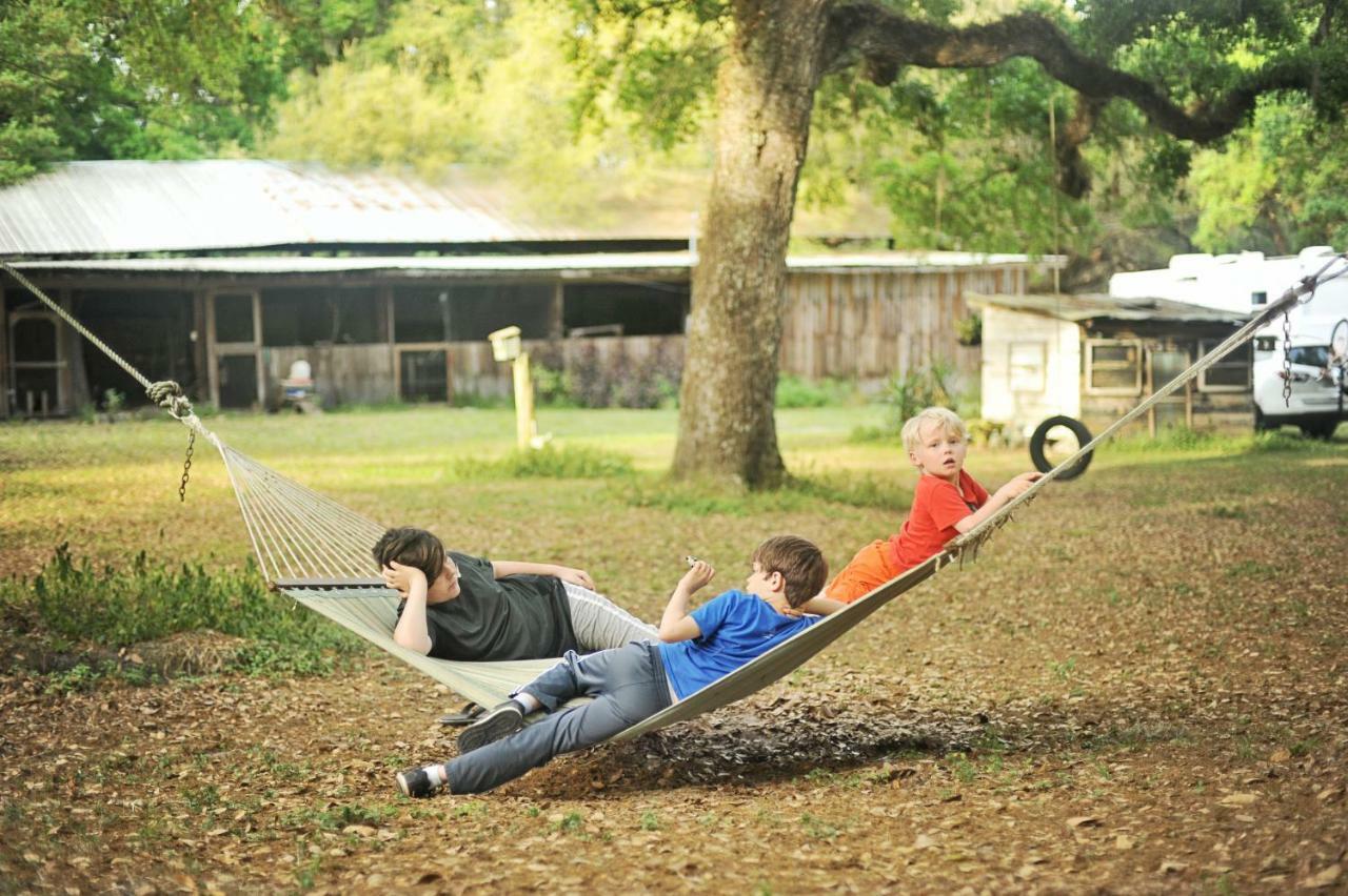 The Harmony Oaks Homestead Masaryktown Esterno foto