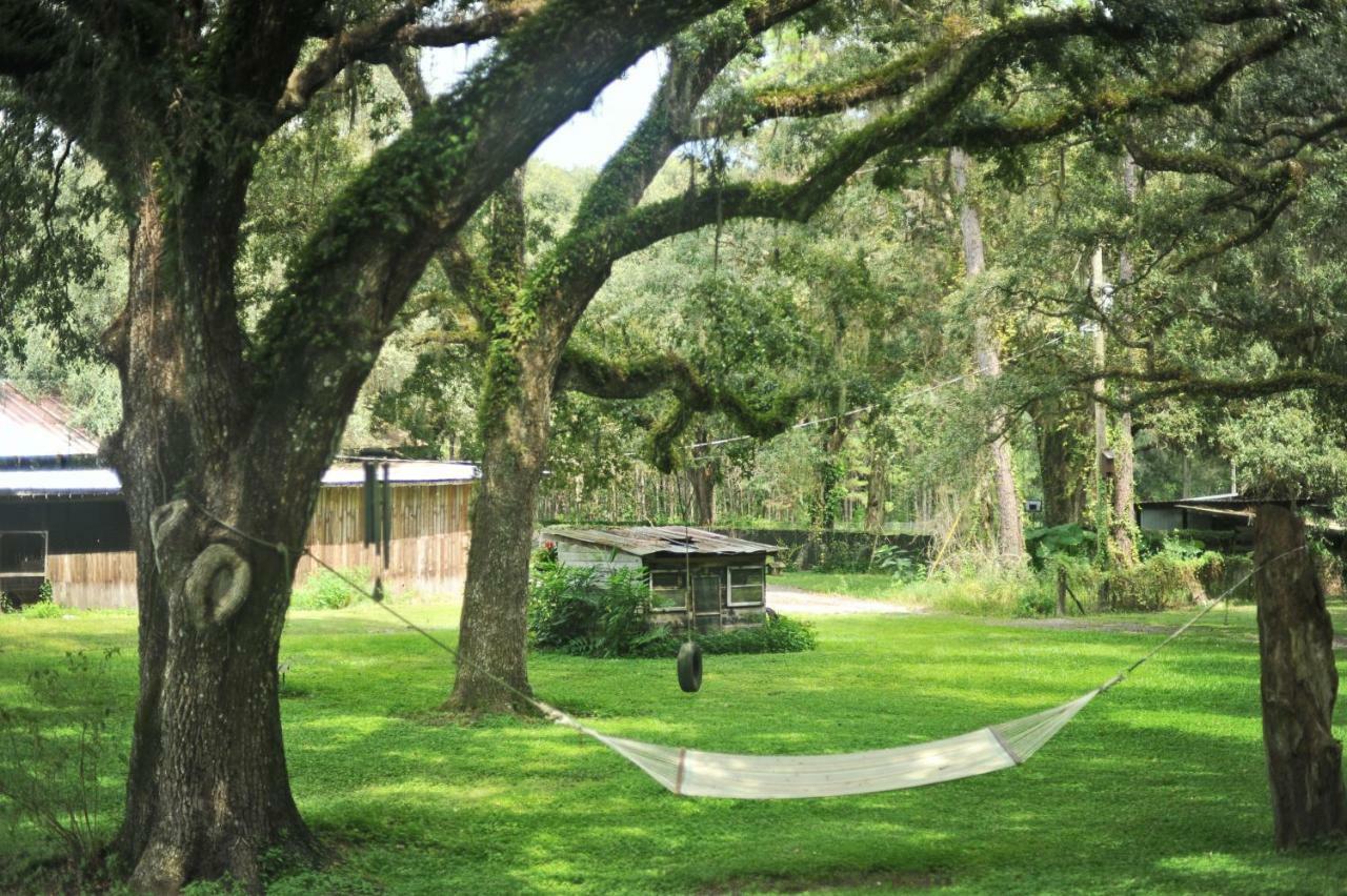 The Harmony Oaks Homestead Masaryktown Esterno foto